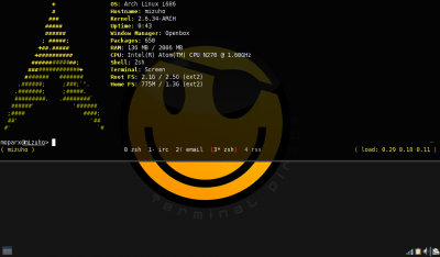 My ASUS Eee PC's screenshot.